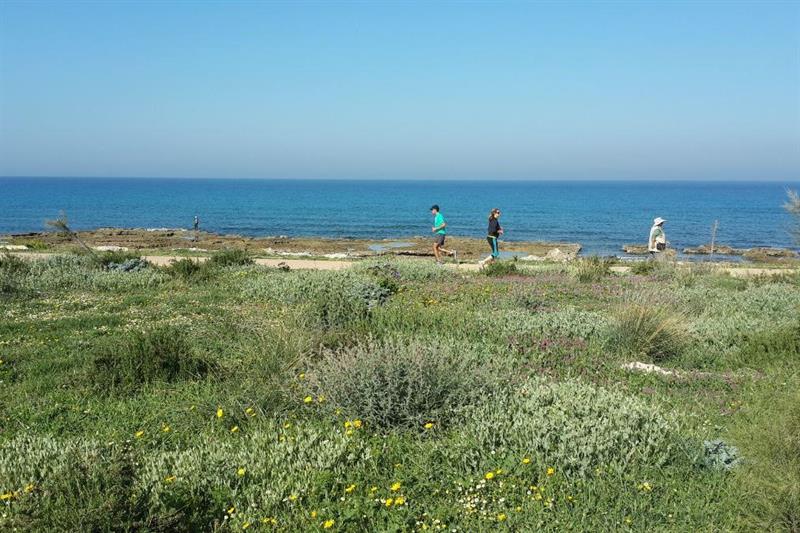 טיילת חוף שקמונה, חיפה