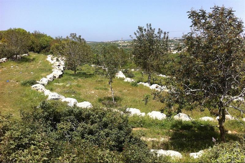 תשתיות מיוחדות