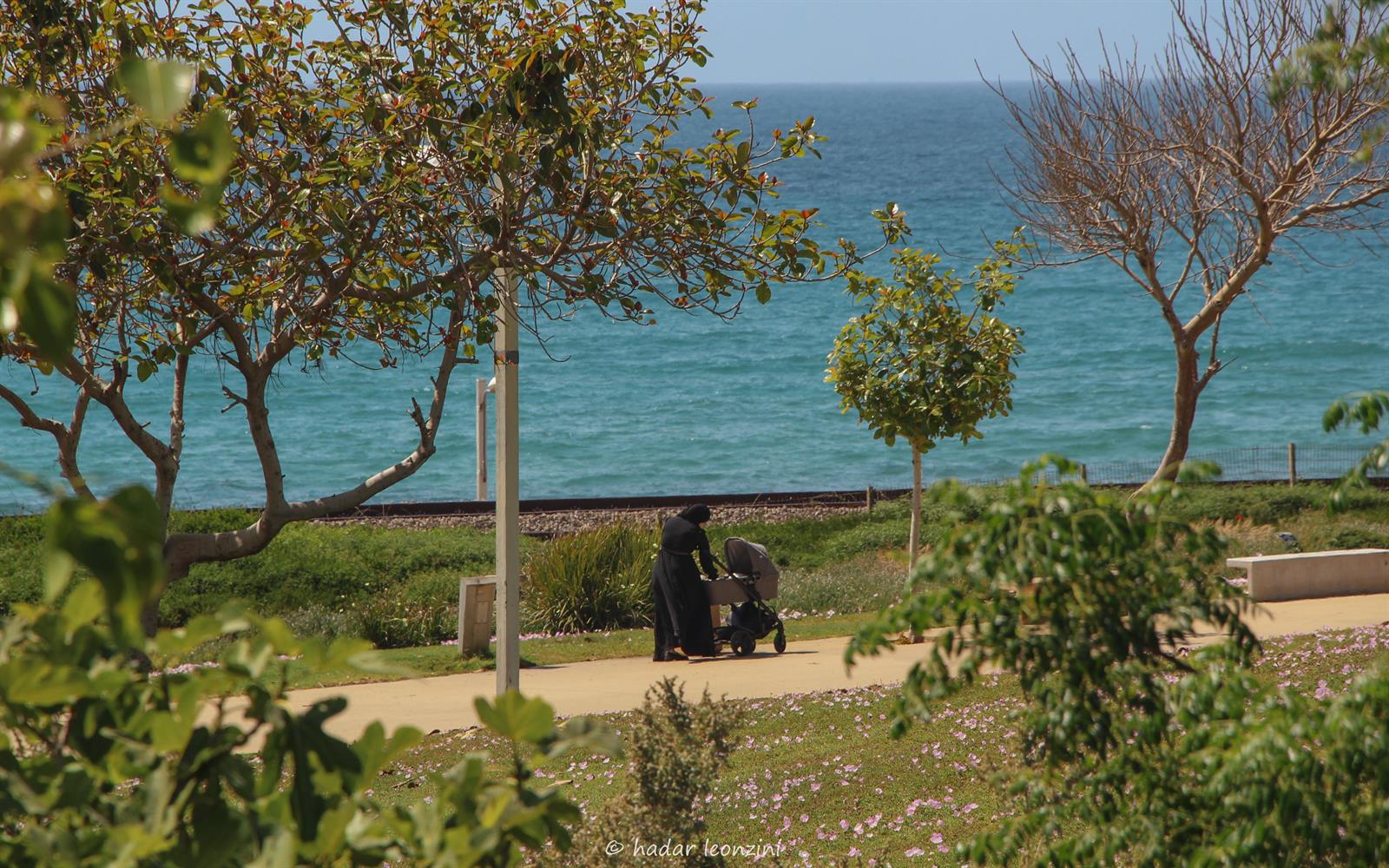טיילות, פארקים וטבע עירוני 